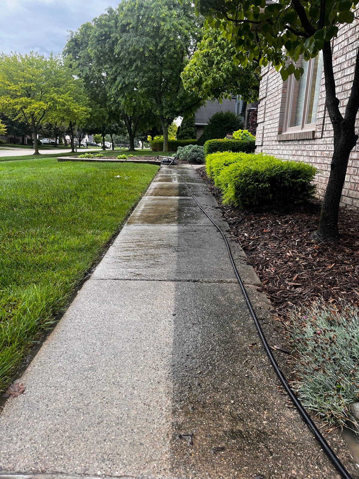 Pressure washing results — half clean half dirty sidewalk